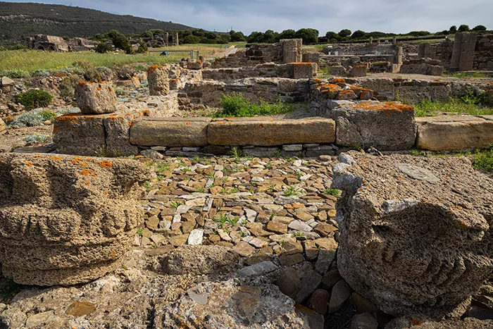 Ruinas de una construcción romana con columnas caídas y pavimento de piedra en Baelo Claudia.