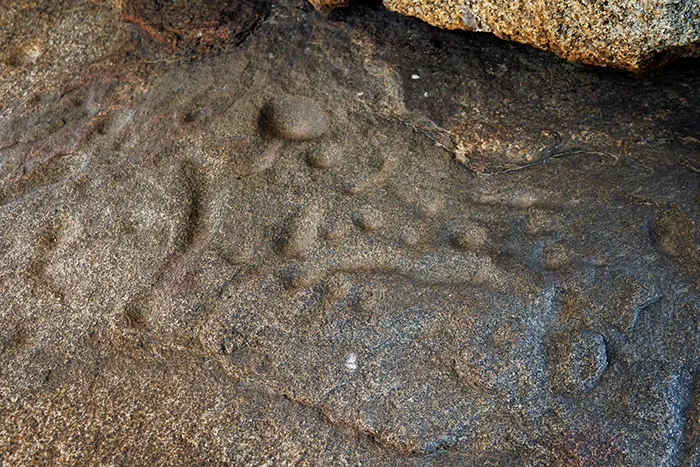 Conjunto de cazoletas y surcos grabados en granito en Los Barruecos