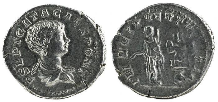 Denario romano con el retrato de Geta en el anverso y figura de pie en el reverso.