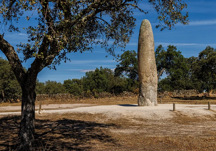 Vista lateral del Menhir da Meada rodeado de encinas y paisaje seco del Alentejo, Portugal.