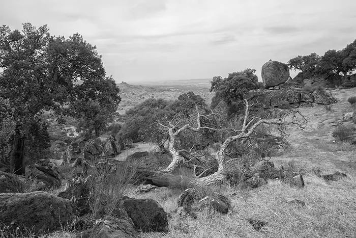 Bosque de encinas y alcornoques entre formaciones rocosas en Valcorchero, Plasencia, bajo un cielo parcialmente nublado en blanco y negro.