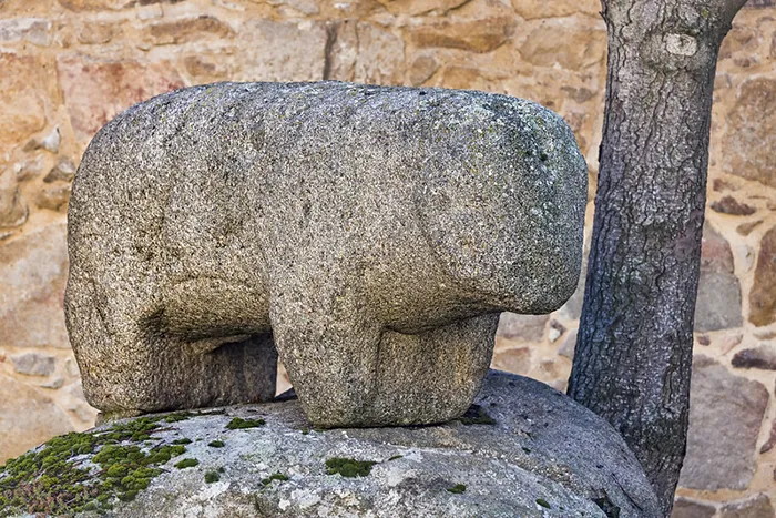 Verraco de piedra vetón en granito, escultura zoomorfa localizado en Ávila.