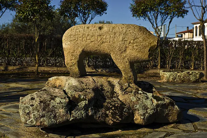 Verraco de piedra vetón con inscripción romana, en Villar del Pedroso.